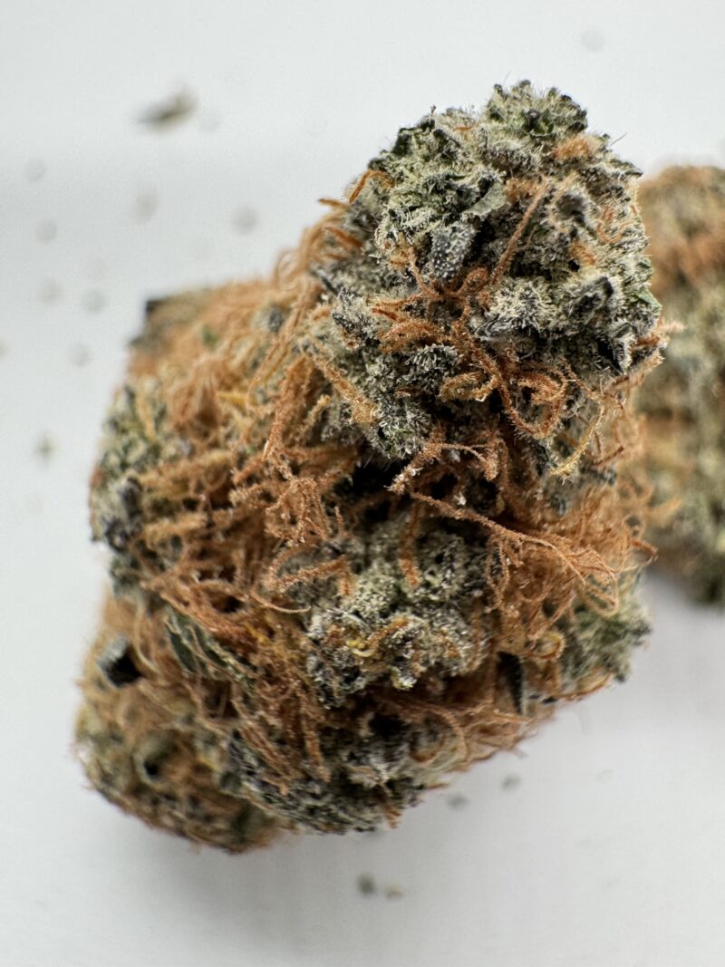 New Batch - BRUCE BANNER upto 27% THC - Special Price $125 oz - Image 2
