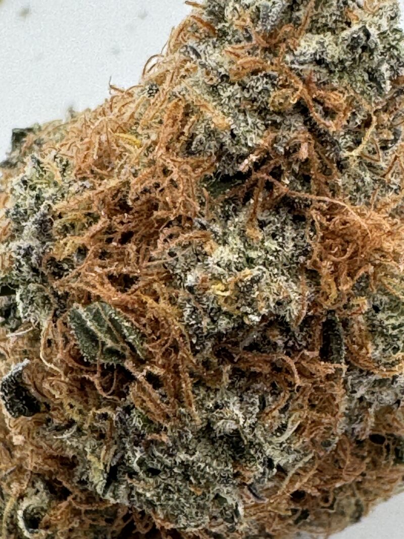 New Batch - BRUCE BANNER upto 27% THC - Special Price $125 oz - Image 3