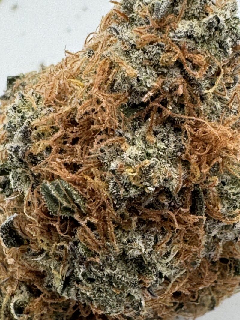 New Batch - BRUCE BANNER upto 27% THC - Special Price $125 oz - Image 3