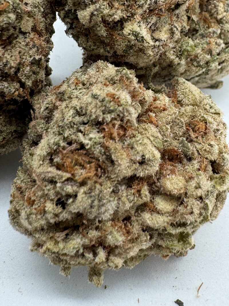 PLATINUM WRECK HYBRID SATIVA 26% THC - SPECIAL PRICE $150 - Image 2