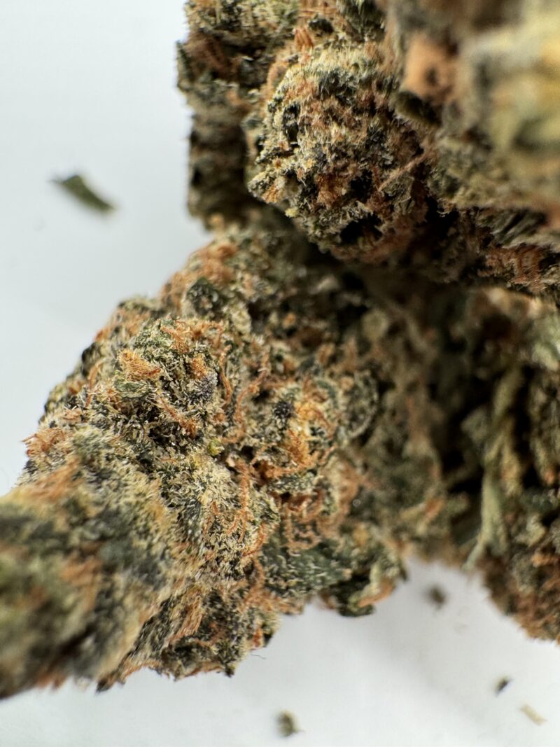 NEW BATCH !! ANIMAL COOKIES - SPECIAL PRICE $135 OZ! - Image 3