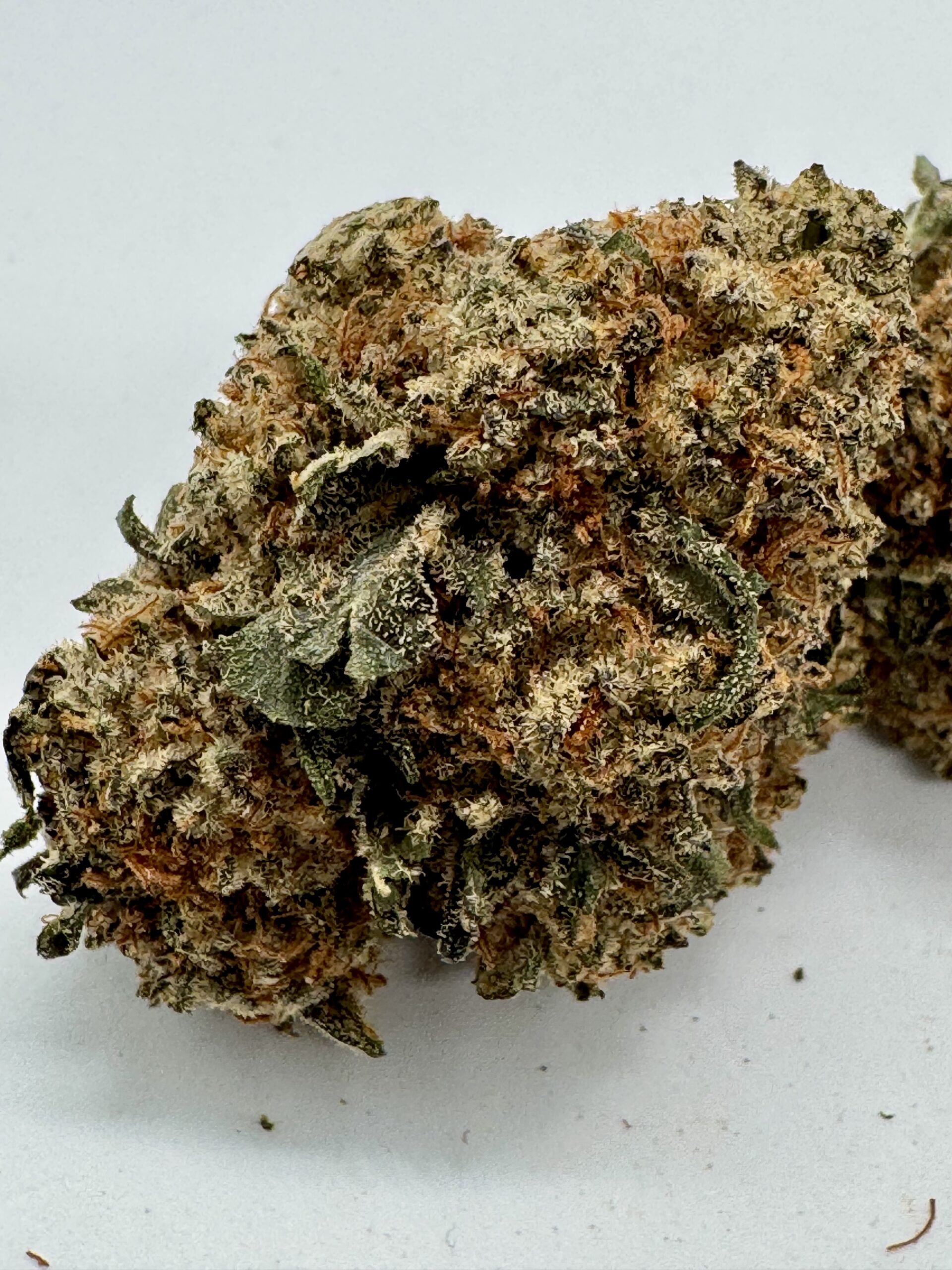HOLIDAY SPECIAL ๐ GORILLA BREATH 25-27% THC - SPECIAL PRICE $115 OZ - Image 3