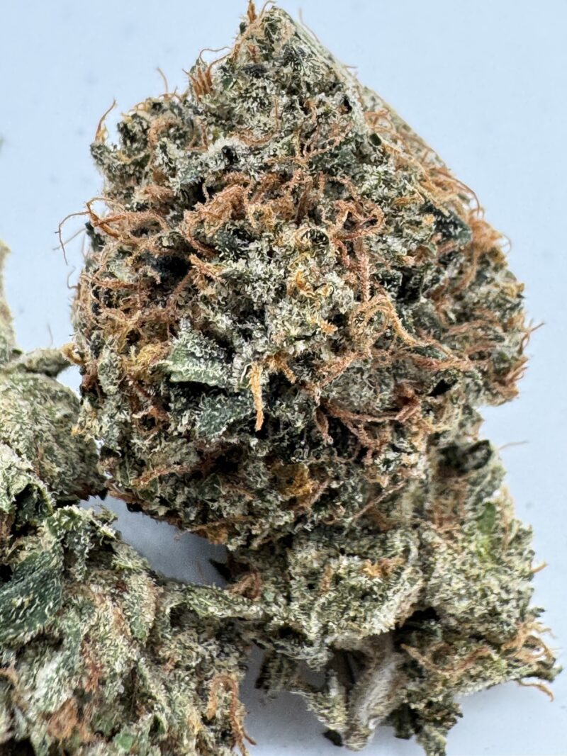 PINK ALASKA - 29-30% THC- SPECIAL PRICE $150 OZ! - Image 3