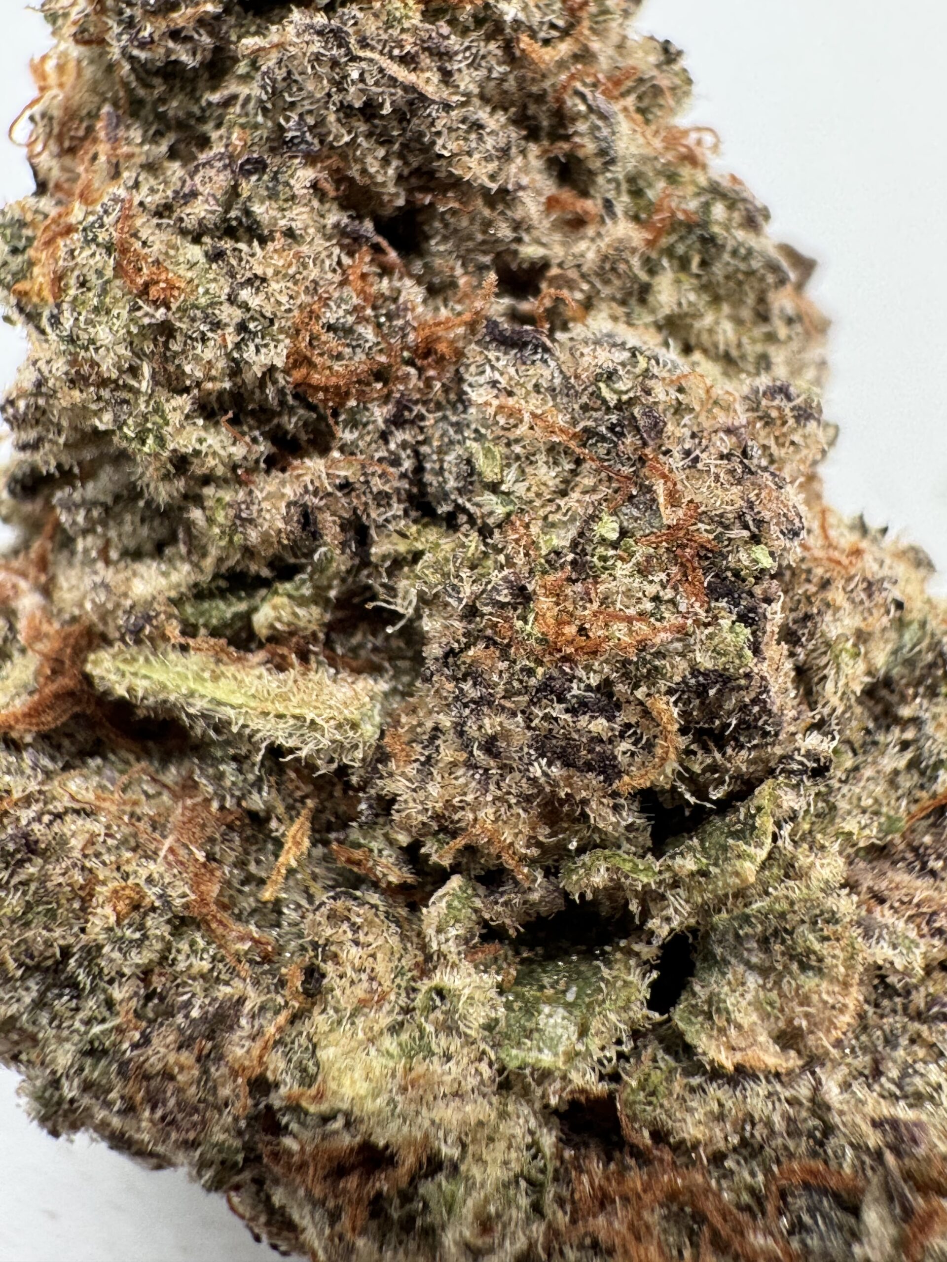 NEW BATCH !! BANANA MIMOSA - UPTO 30% THC - SPECIAL PRICE $160 - Image 2