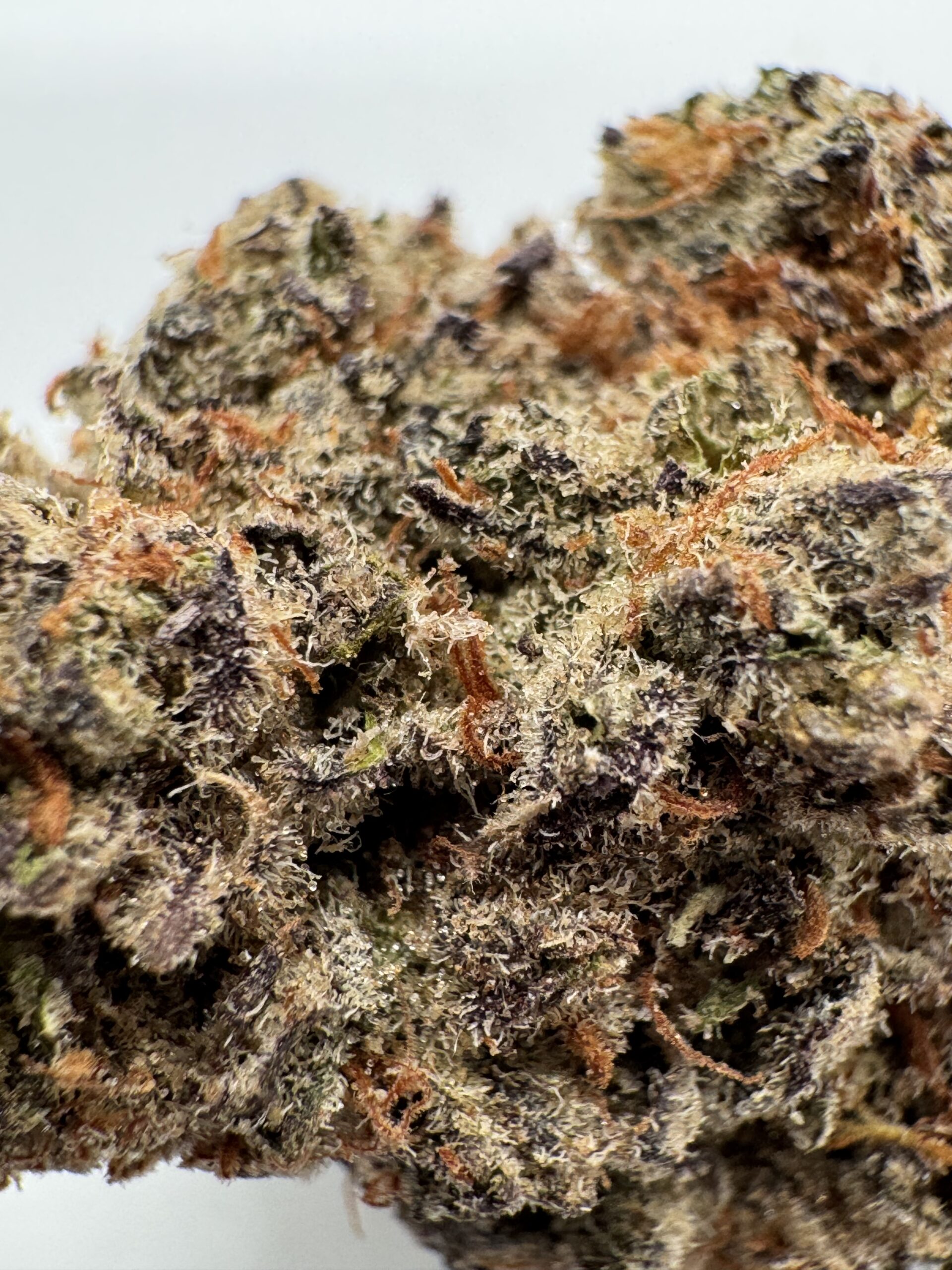 NEW BATCH !! BANANA MIMOSA - UPTO 30% THC - SPECIAL PRICE $160 - Image 4