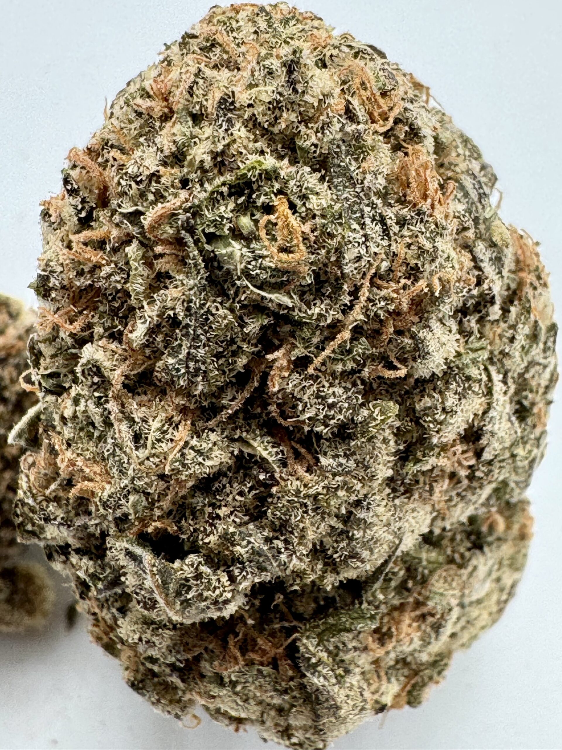 NEW !! JUNGLE DIAMOND - UPTO 27% THC-  SPECIAL PRICE $150 OZ!! - Image 3