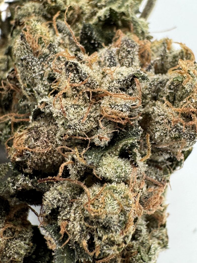 ASTRO PINK - UPTO 30% THC - SPECIAL DEAL $160 Oz - Image 3