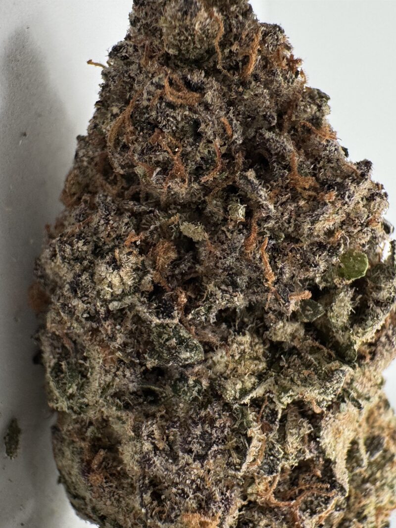 Lemon Cream Marijuana Sativa Strain 24% THC - Image 2