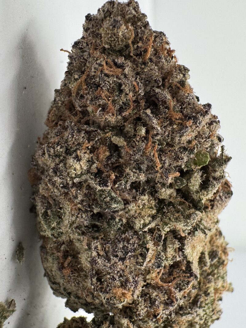 Lemon Cream Marijuana Sativa Strain 24% THC