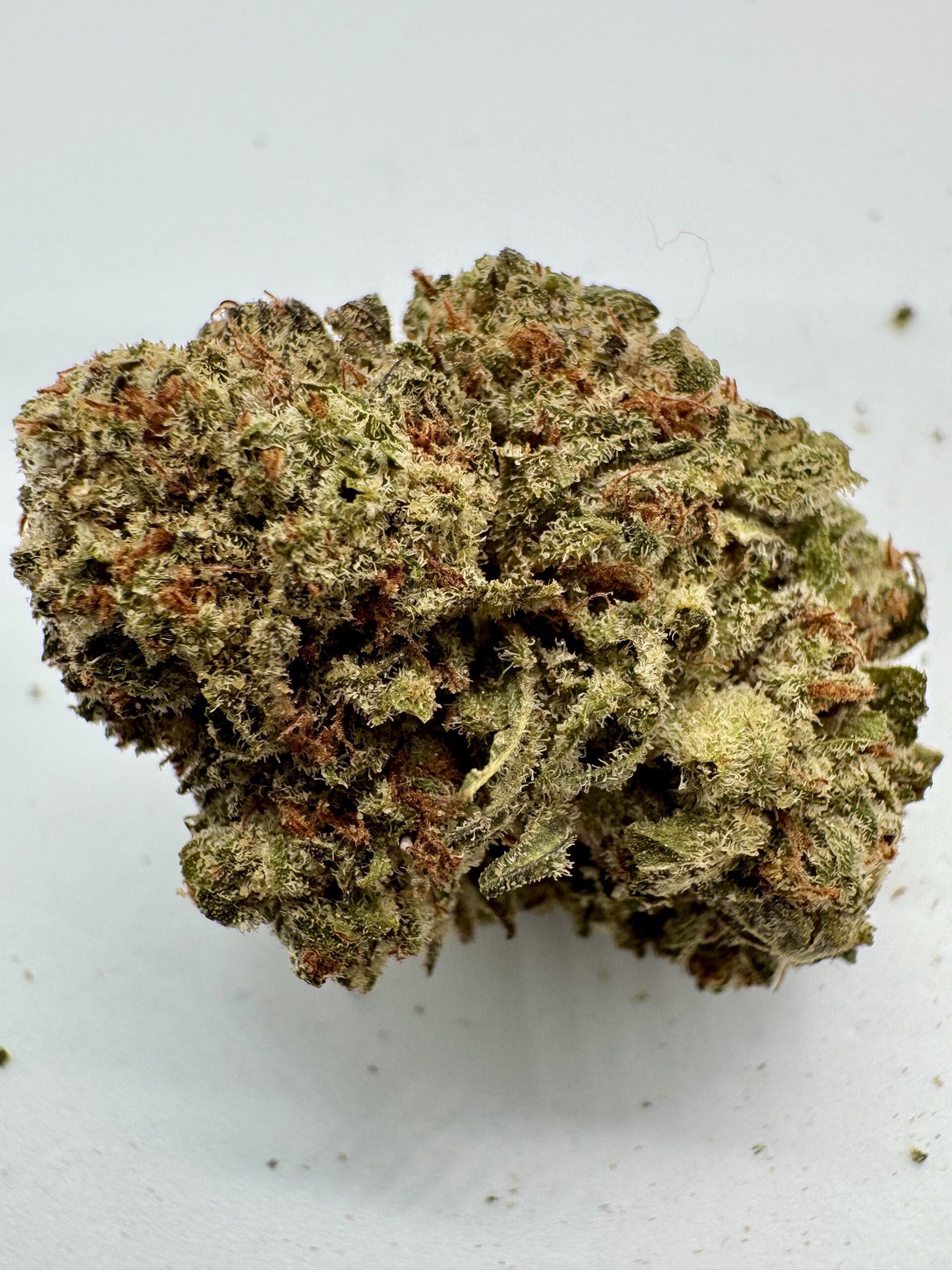 PURPLE MILK π₯ - UPTO 27% THC - SPECIAL PRICE $150 - Image 3