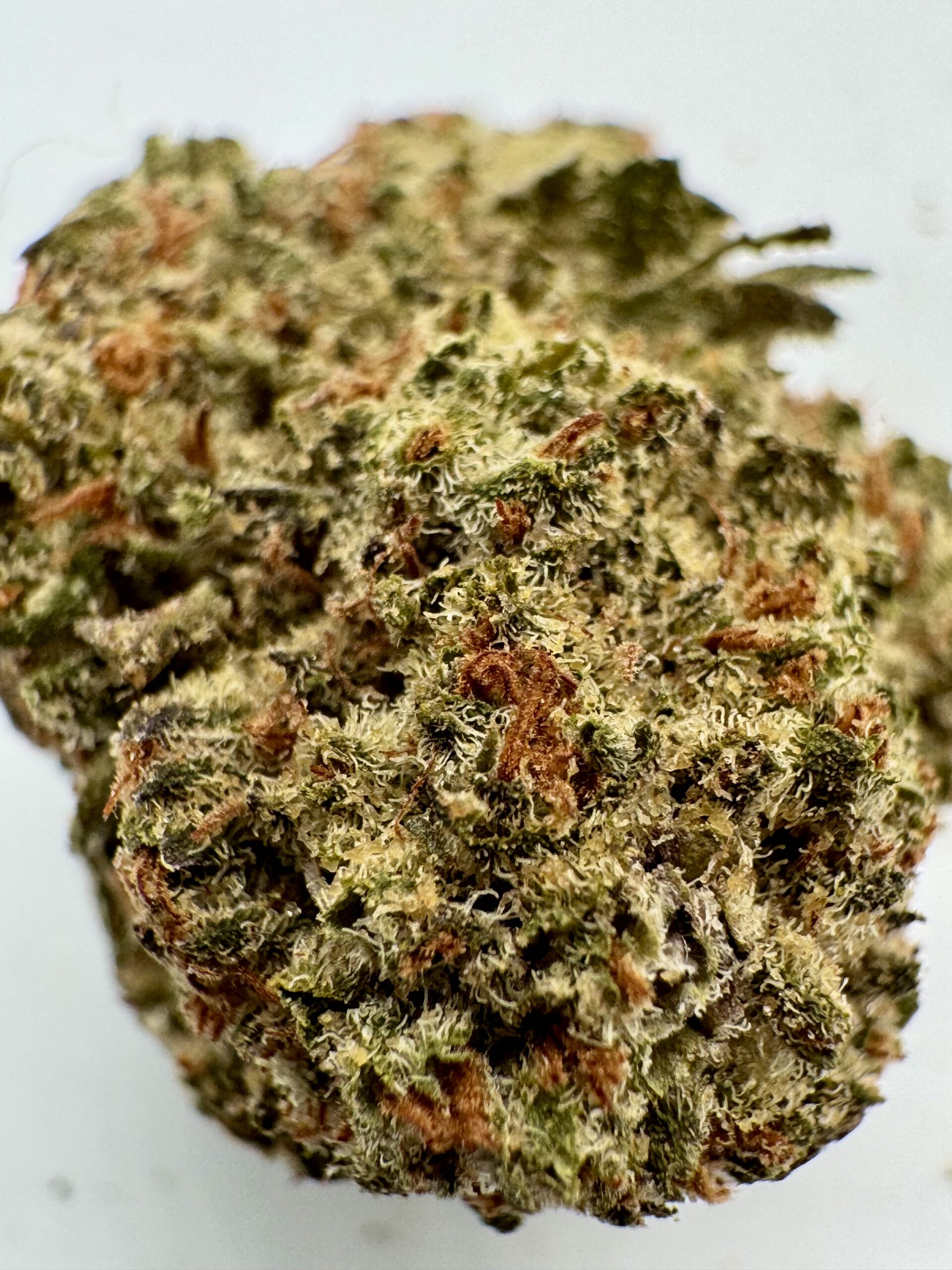 PURPLE MILK π₯ - UPTO 27% THC - SPECIAL PRICE $150 - Image 4