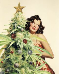 🎄 Season’s Greetings! 🎄 Celebrate the holidays with us!!!