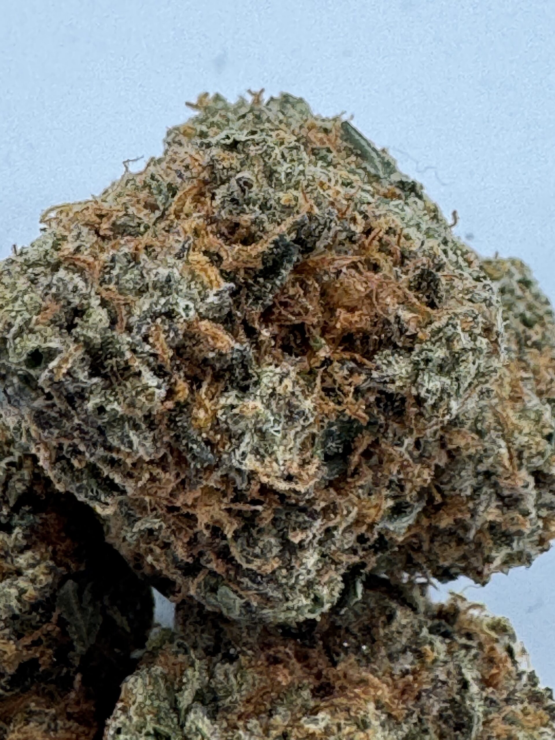 โ ๏ธ Happy 420 - Death Star OG | 28% THC | Now Only $125 Oz โ ๏ธ - Image 3