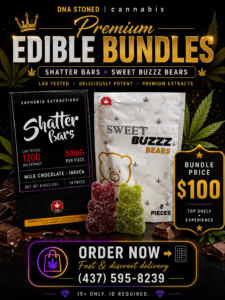 🍫 Premium Edible Bundle - Shatter Bars & Sweet Buzzz Bears