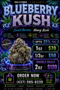 🫐 Blueberry Kush – Premium Indica | Up to 25% THC | Double Deal: $120 for 2Oz
