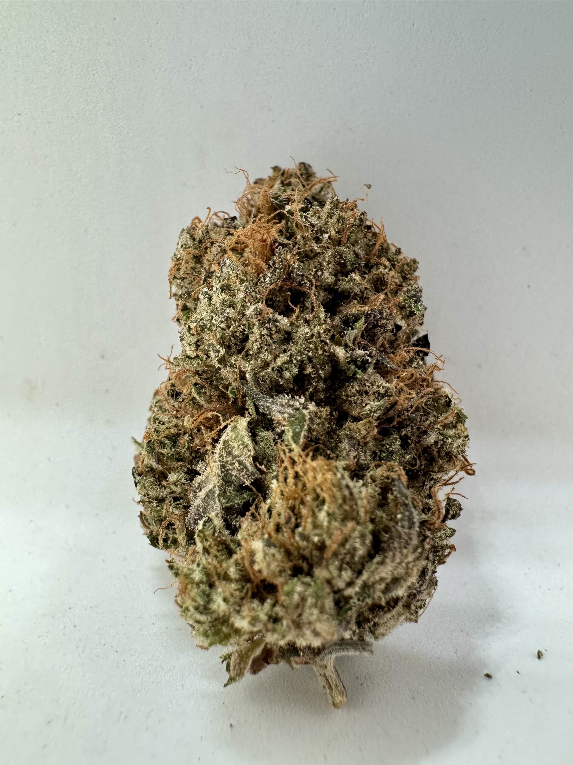π Rainbow Sherbet β Premium Exotic Hybrid | Up to 36% THC | Now Only $200 Oz - Image 2