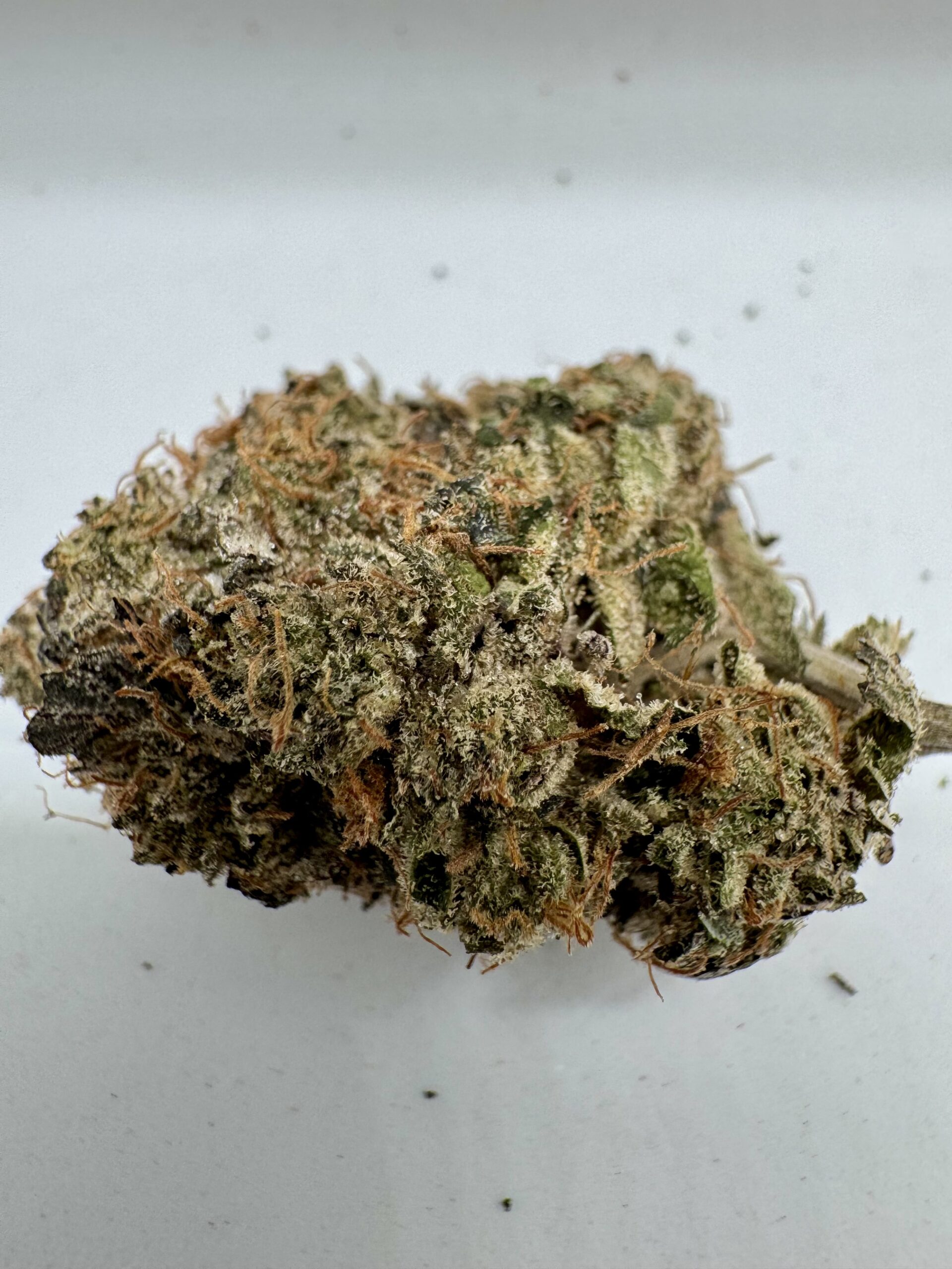 π Rainbow Sherbet β Premium Exotic Hybrid | Up to 36% THC | Now Only $200 Oz - Image 3