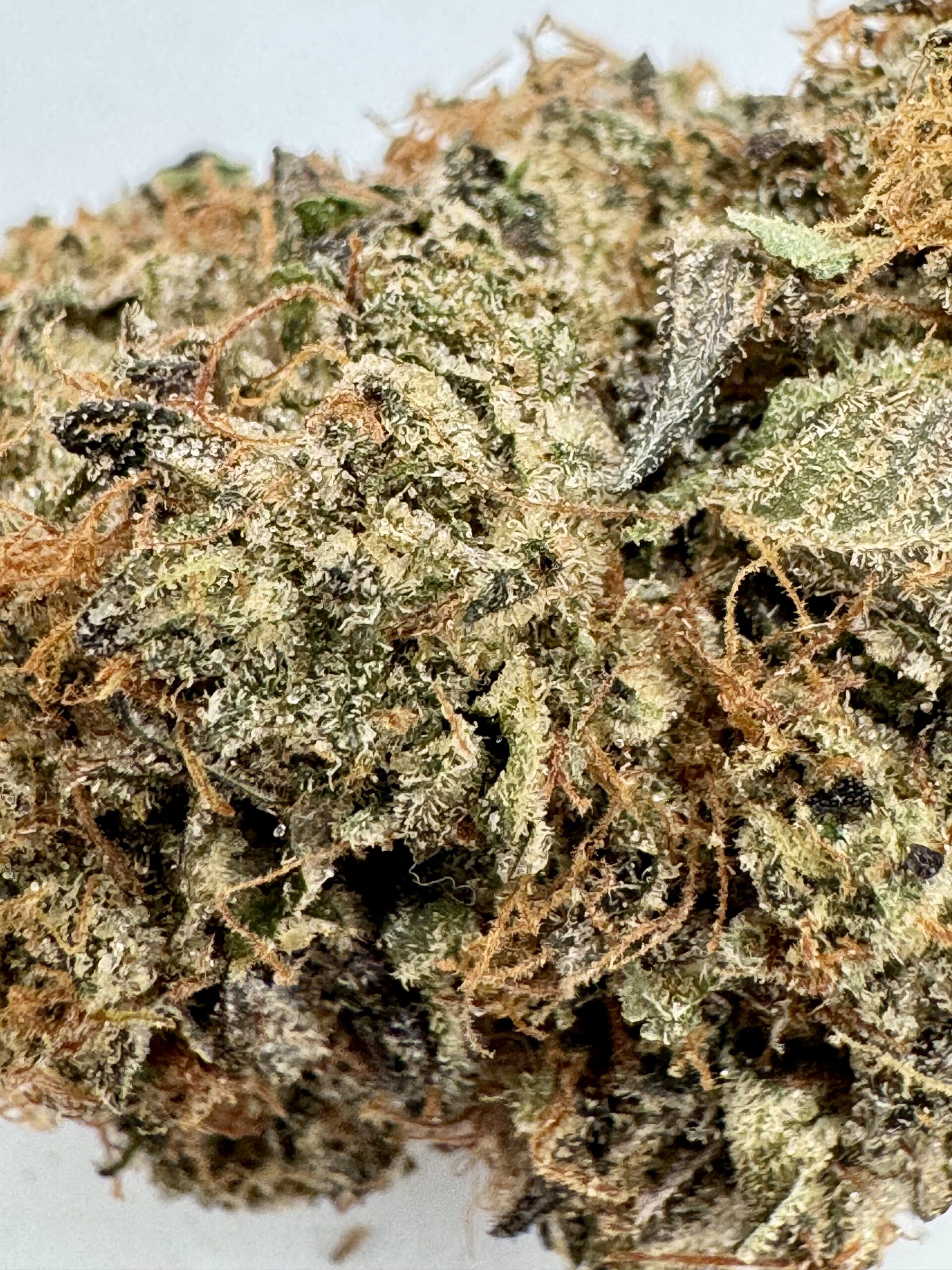 π Rainbow Sherbet β Premium Exotic Hybrid | Up to 36% THC | Now Only $200 Oz - Image 4