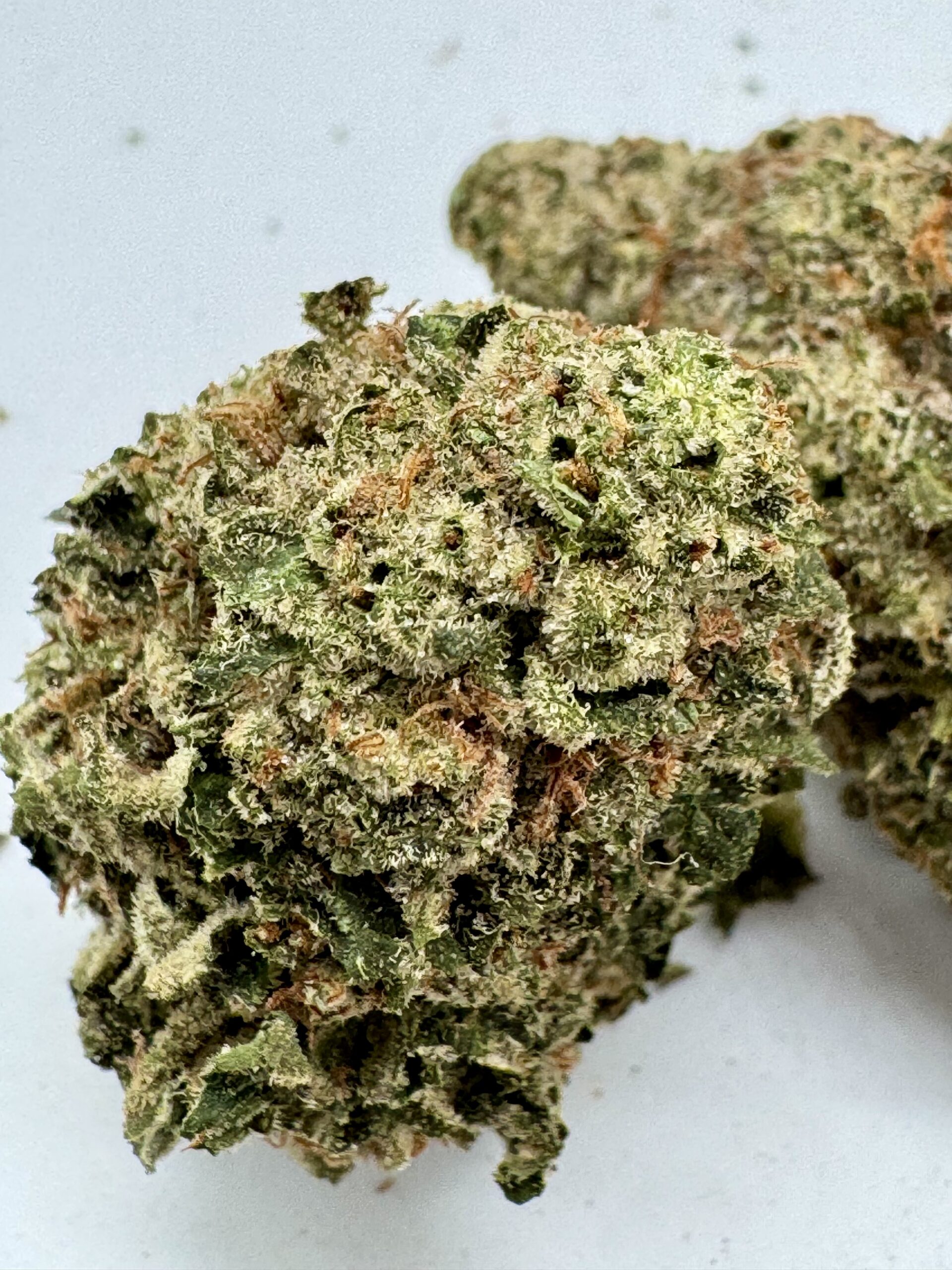 πΌ Cereal Milk β Premium Creamy Hybrid | Up to 29% THC | Special Price $135/Oz - Image 4