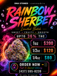 🌈 Rainbow Sherbet – Premium Exotic Hybrid | Up to 36% THC | Now Only $200 Oz