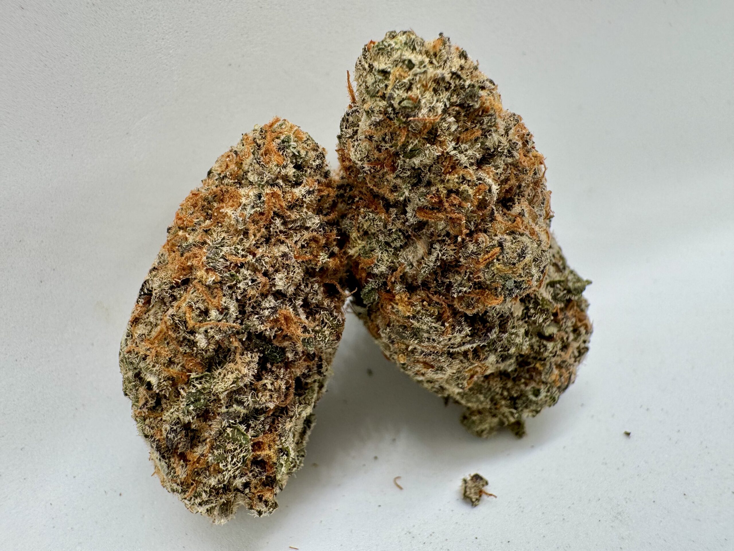 βοΈ Blue Frost β Frosted Hybrid | Upto 30% THC | Now Only $160 OZ - Image 2