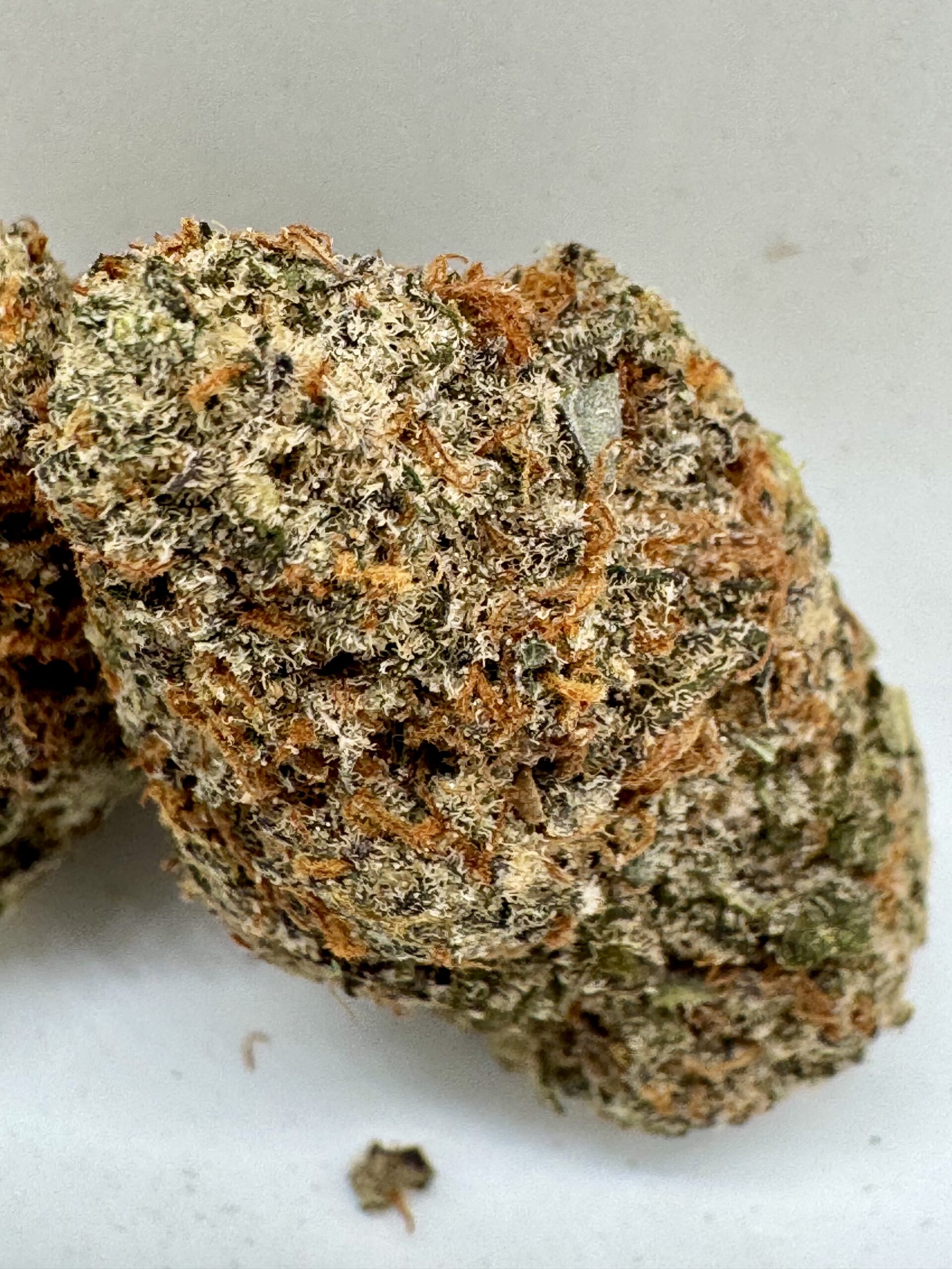 βοΈ Blue Frost β Frosted Hybrid | Upto 30% THC | Now Only $160 OZ - Image 3