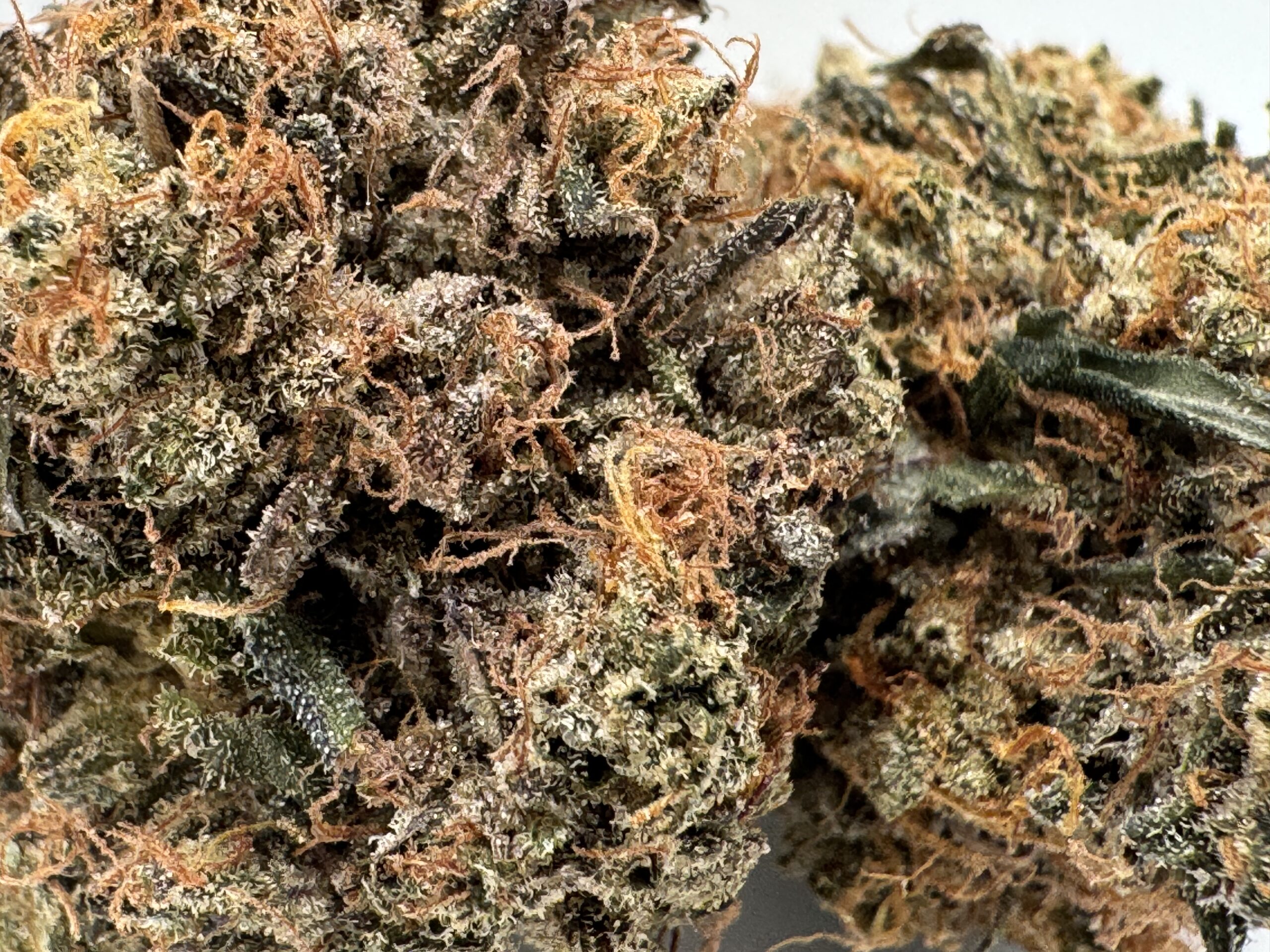 ⛽️ Black Gas - Fuel Your High | Upto 32% THC | Now Only $170 OZ - Image 3