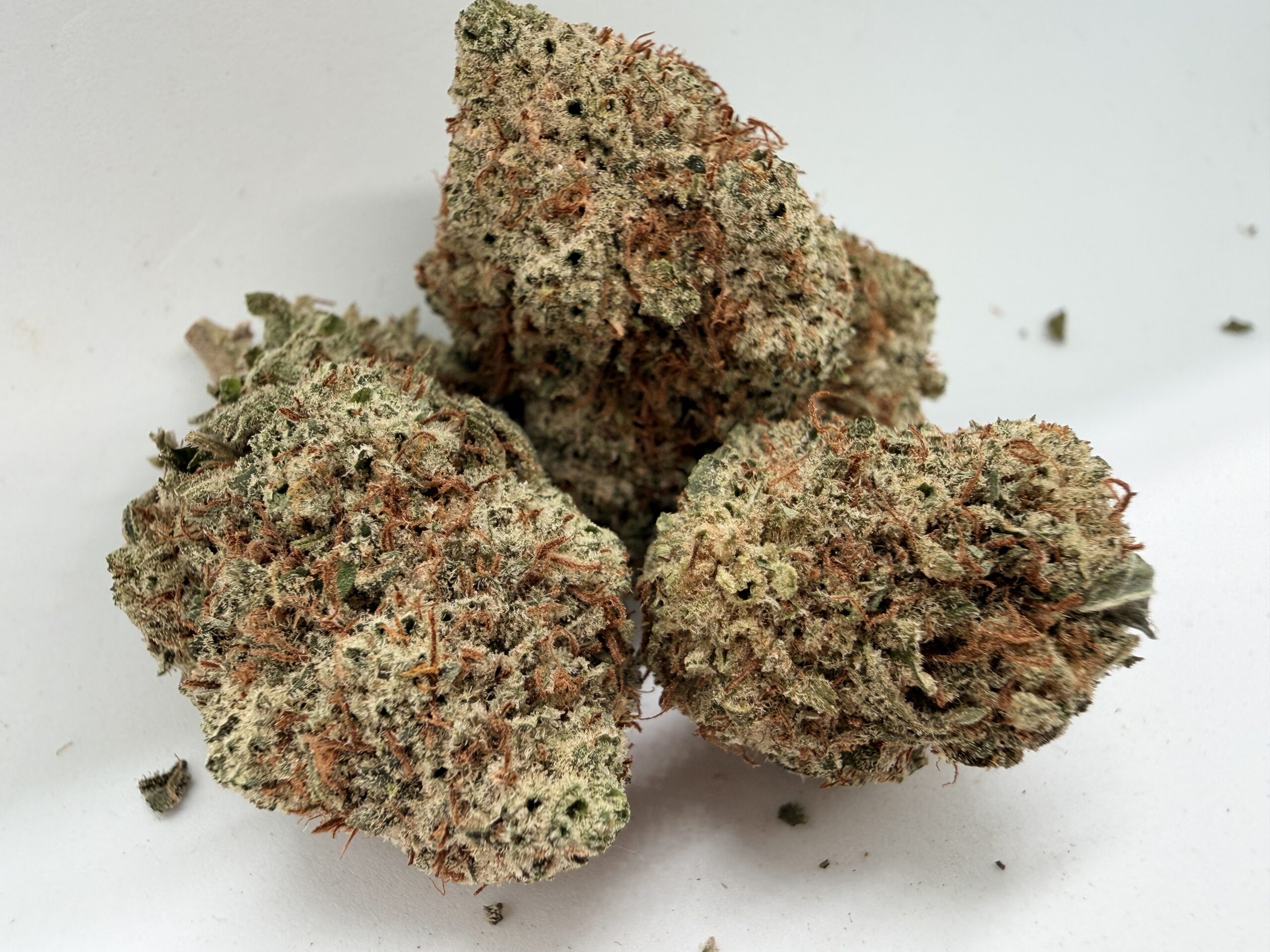 β¨ Truffle&Flow - Premium Hybrid | Upto 28% THC | Now Only $135 Oz - Image 2
