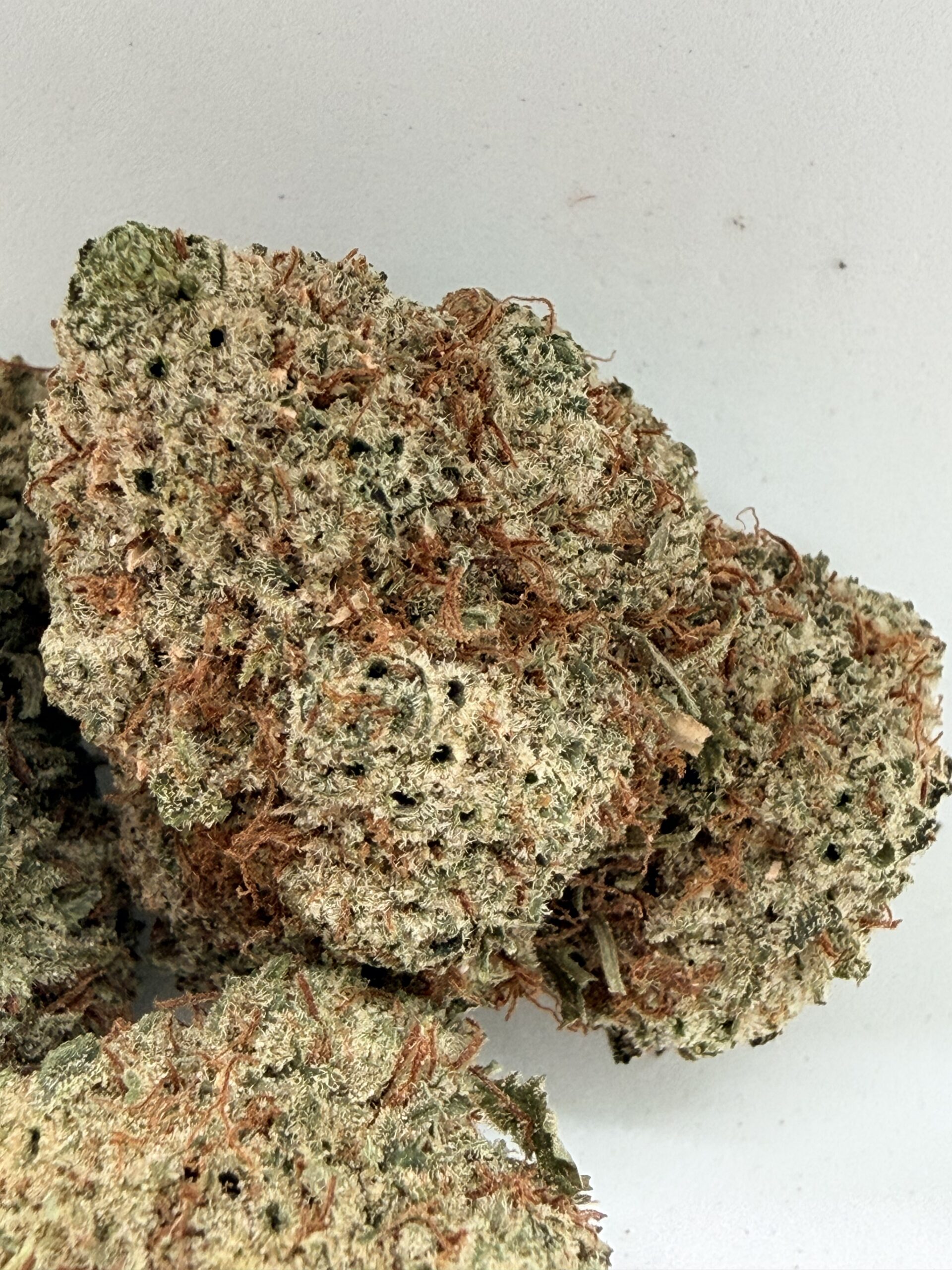 β¨ Truffle&Flow - Premium Hybrid | Upto 28% THC | Now Only $135 Oz - Image 3