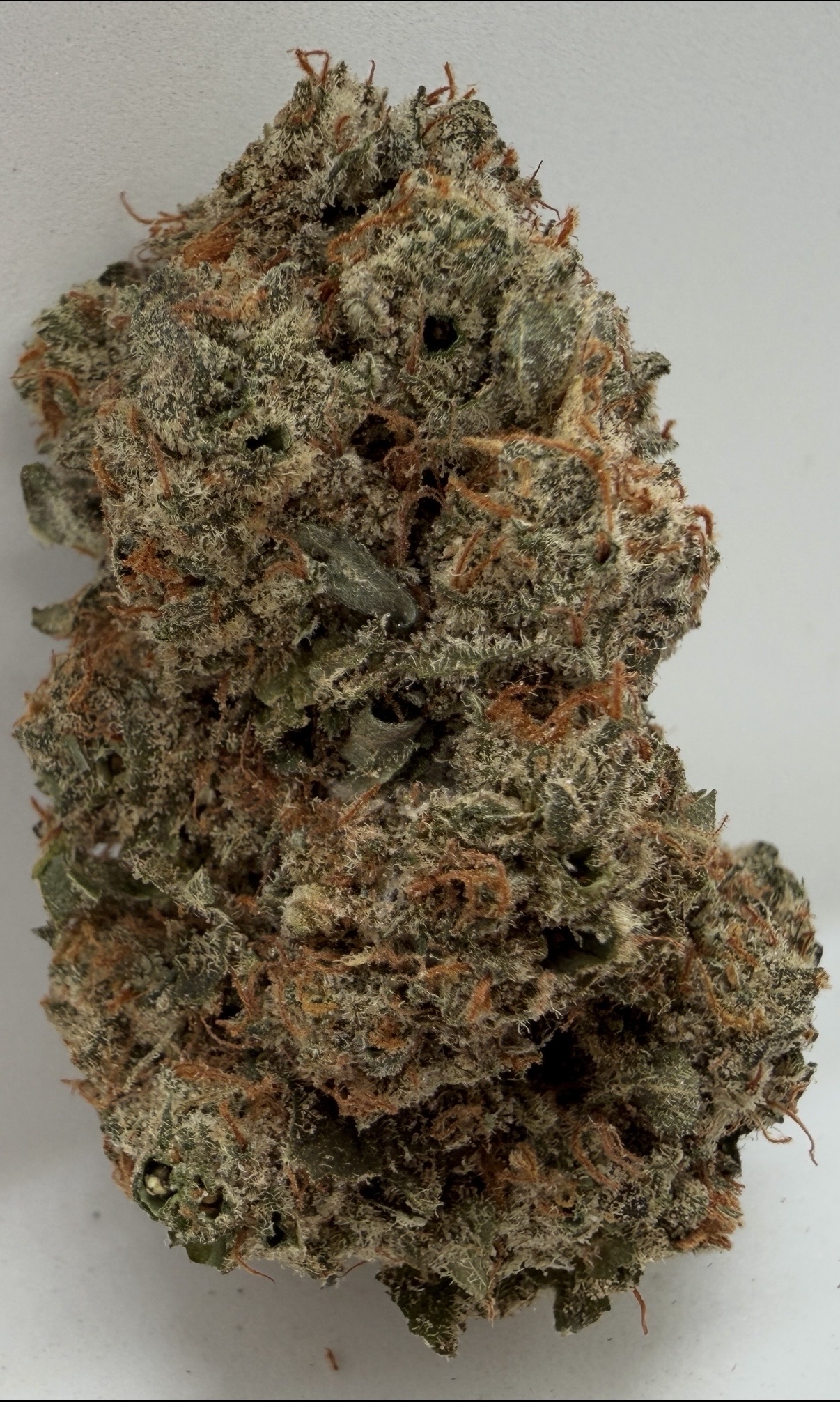 π Space Ghost - Limited Batch | Upto: 29% THC | Now Only: $150 OZ - Image 2
