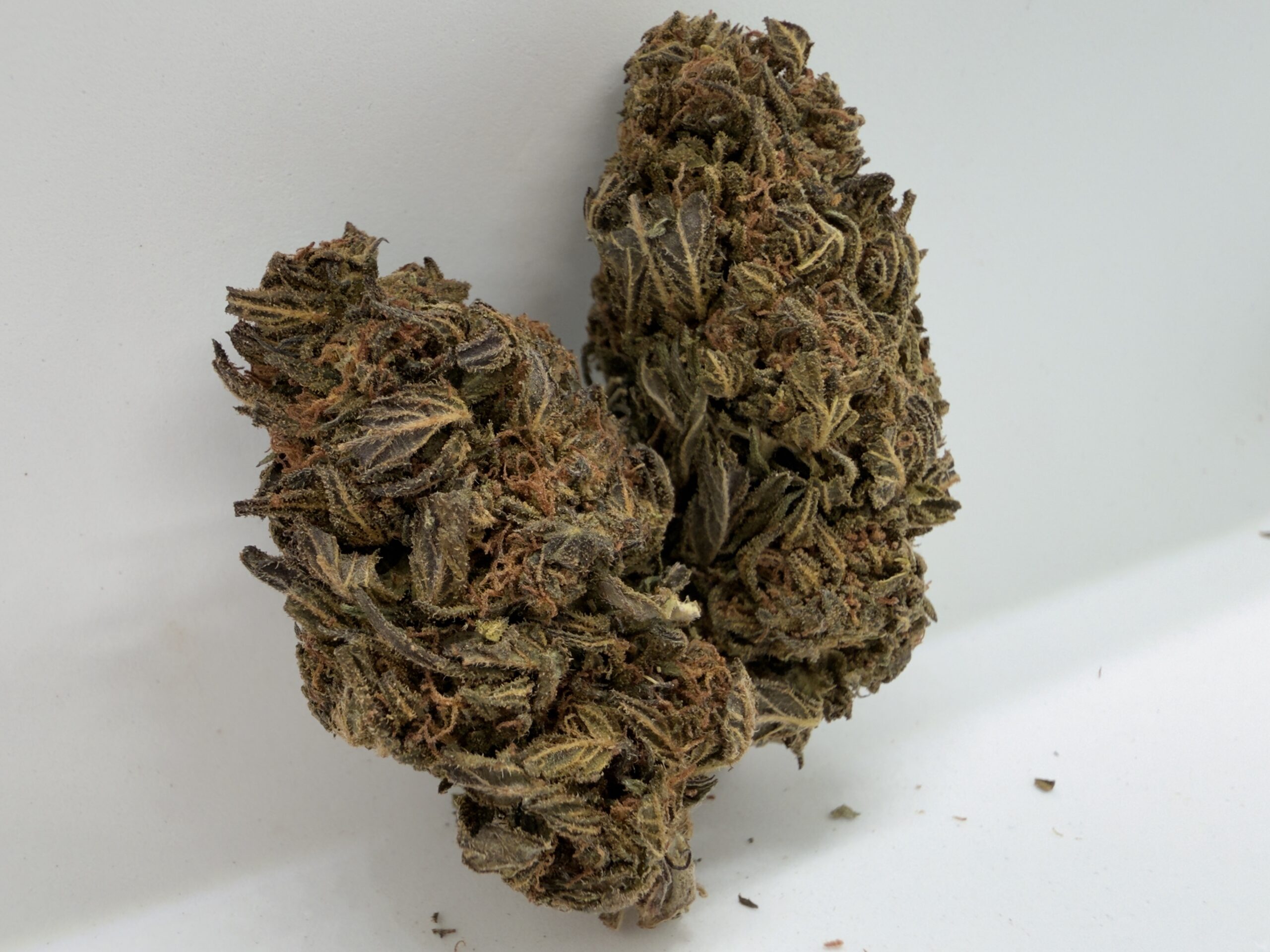 π€ Black RuntZ - Limited Batch | 27% THC | Double Deals: $140 for 2OZ - Image 3