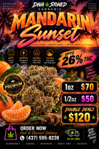 🍊 Mandarin Sunset - Indica Hybrid | 26% THC | Double Deals: $120 for 2OZ