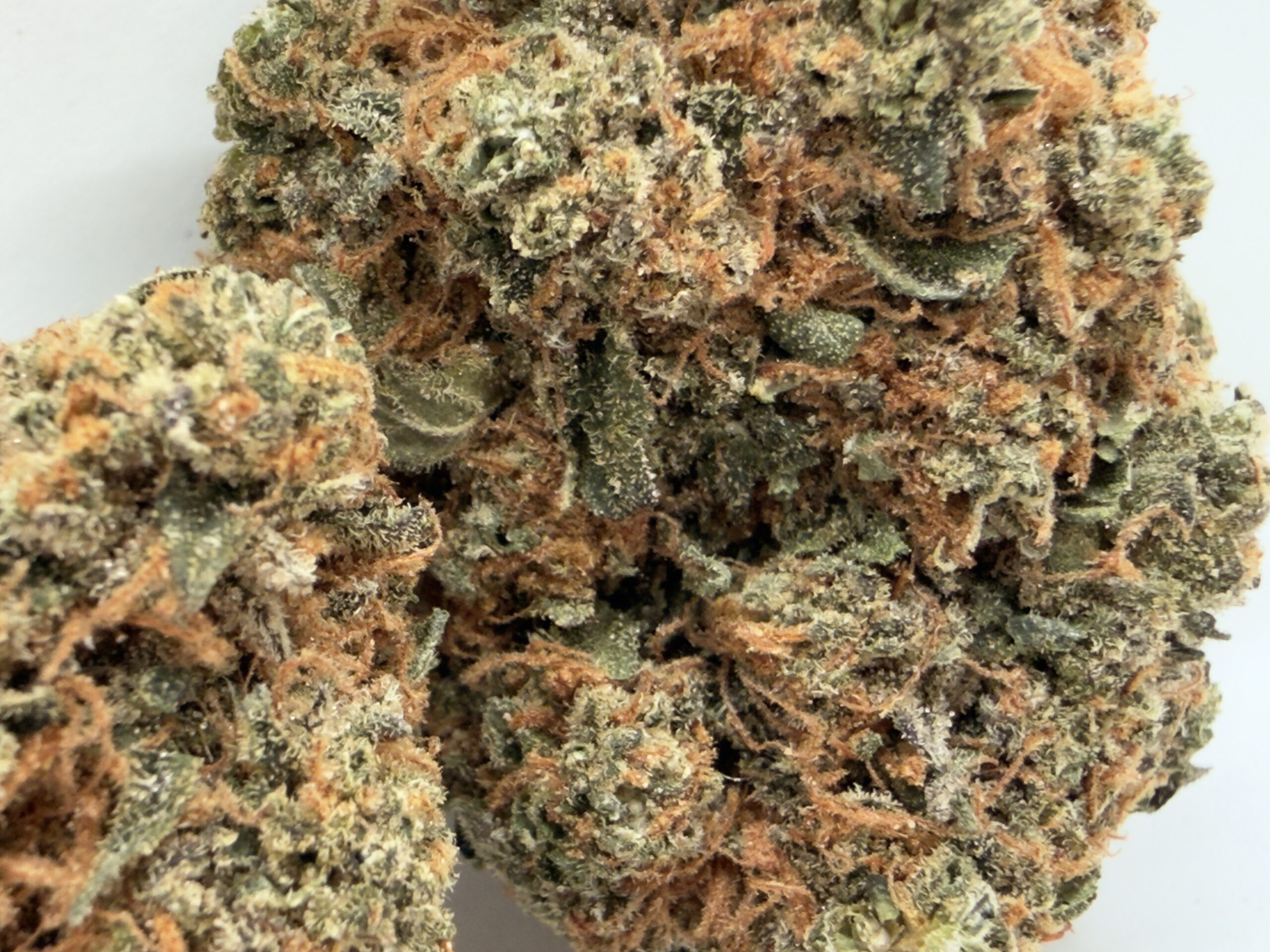 π Super BooF - Hybrid Strain | Upto 31% THC | Special Price: $150 Oz!! - Image 3