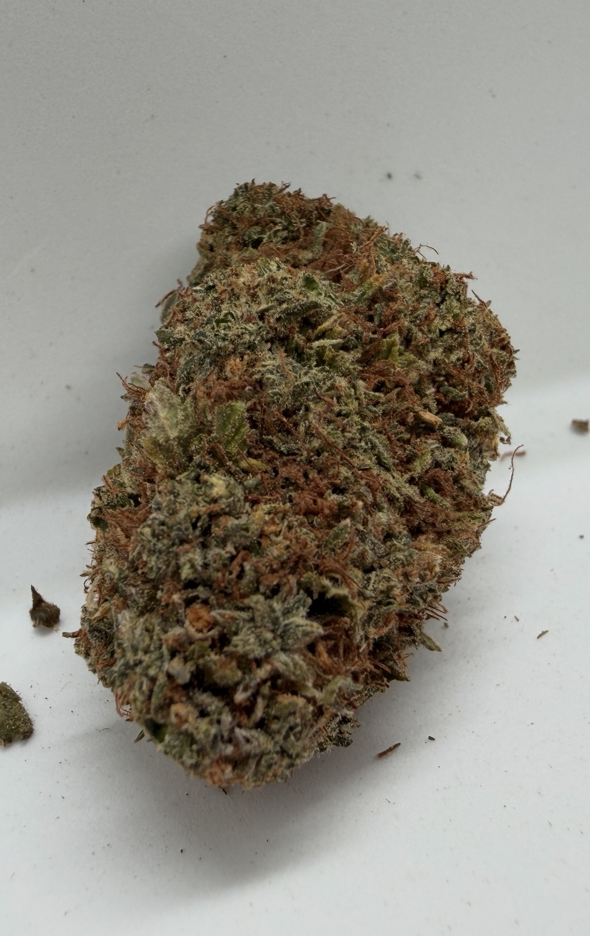 π Wifi OG - Sativa Dominant Hybrid | Upto 25% THC | Special Price $115Oz - Image 2