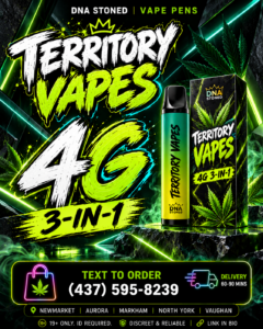 💨 Territory Vapes 3-in-1 Vape — Available in 2G & 4G 💨